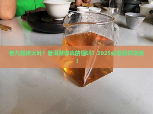 老九粗枝大叶普洱茶