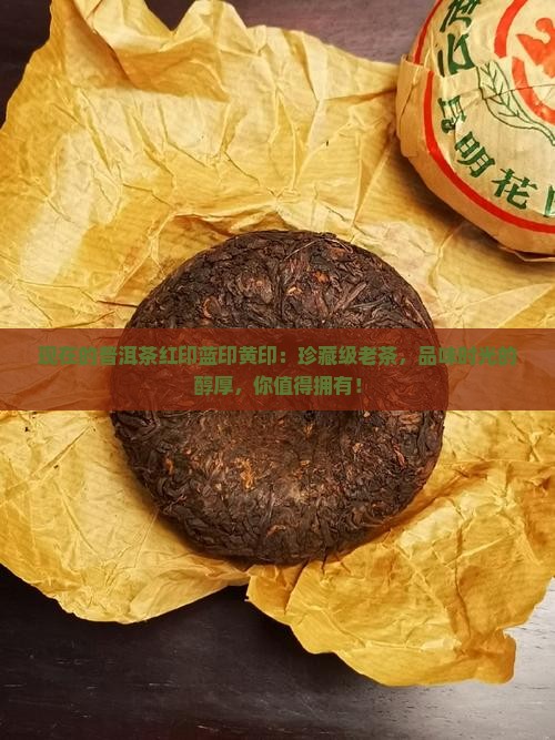 现在的普洱茶红印蓝印黄印