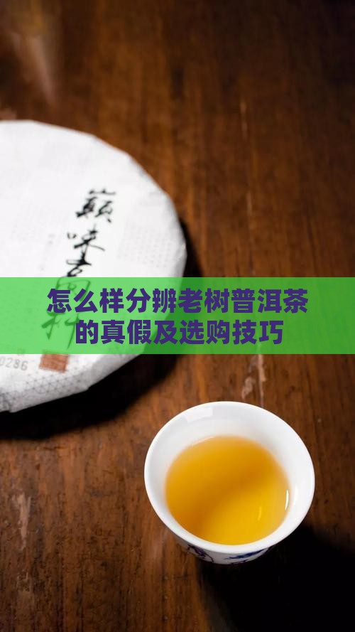 怎么样分辨老树普洱茶的真假
