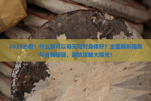 什么茶可以每天喝对身体好