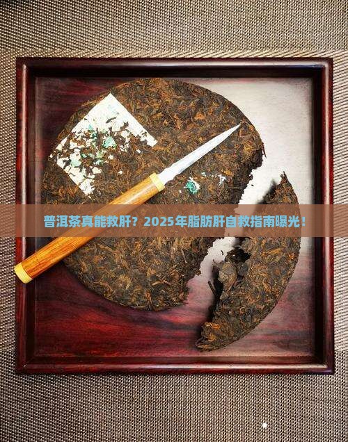普洱茶消除脂肪肝