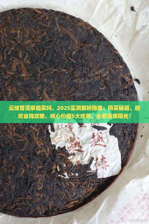 云域普洱茶能买吗