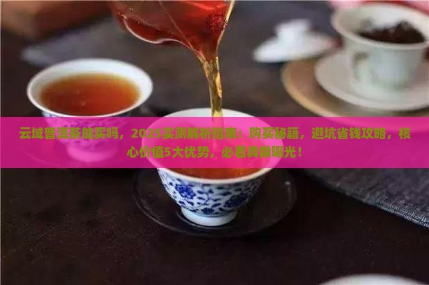 云域普洱茶能买吗