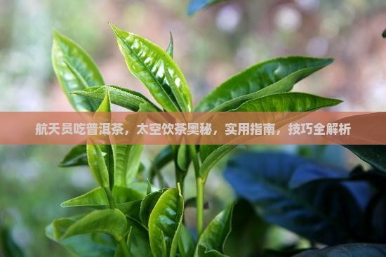 航天员吃普洱茶