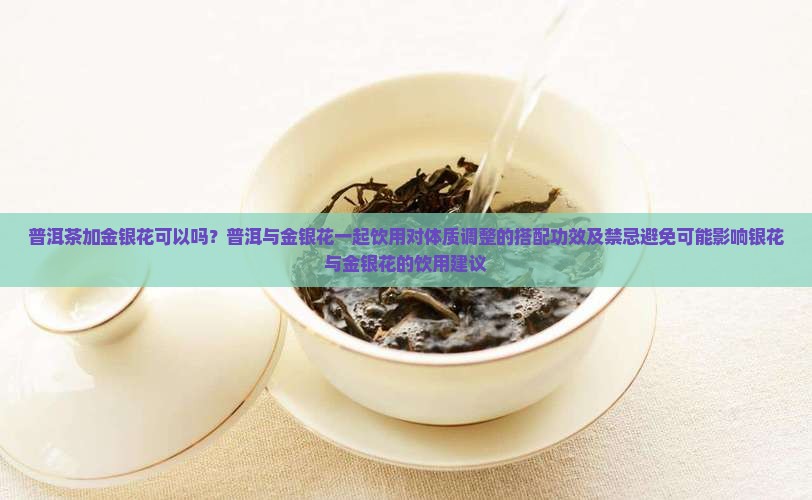 普洱茶加金银花可以吗