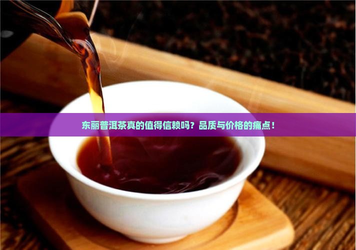 东丽普洱茶品牌