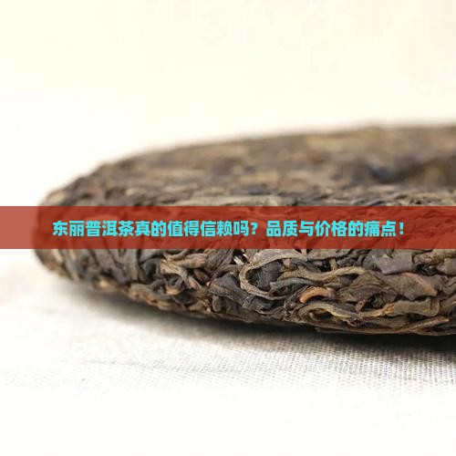 东丽普洱茶品牌