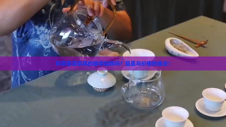 东丽普洱茶品牌
