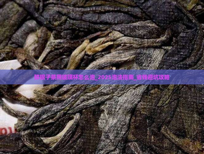 碎银子茶用玻璃杯怎么泡
