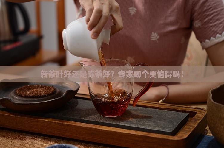 新茶叶好还是陈茶好
