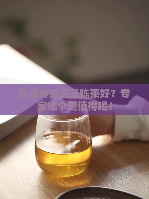 新茶叶好还是陈茶好