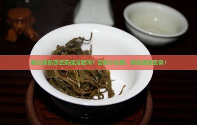 喝云南熟普洱茶能减肥吗