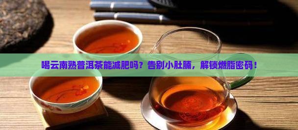 喝云南熟普洱茶能减肥吗