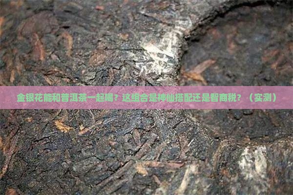 金银花能和普洱茶放到一起喝吗