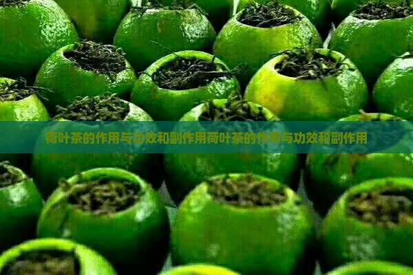 荷叶茶的作用与功效和副作用
