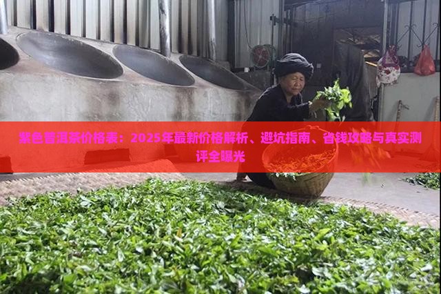 紫色普洱茶价格表