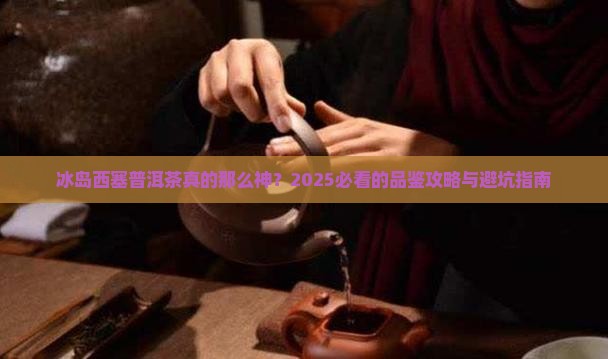冰岛西塞普洱茶