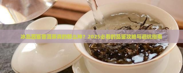 冰岛西塞普洱茶