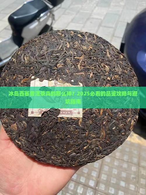 冰岛西塞普洱茶