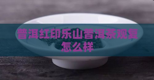 普洱观复红印怎么样