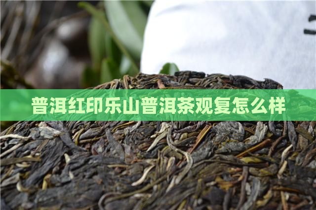 普洱观复红印怎么样