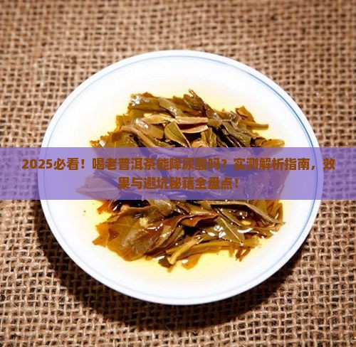 喝老普洱茶降尿酸吗