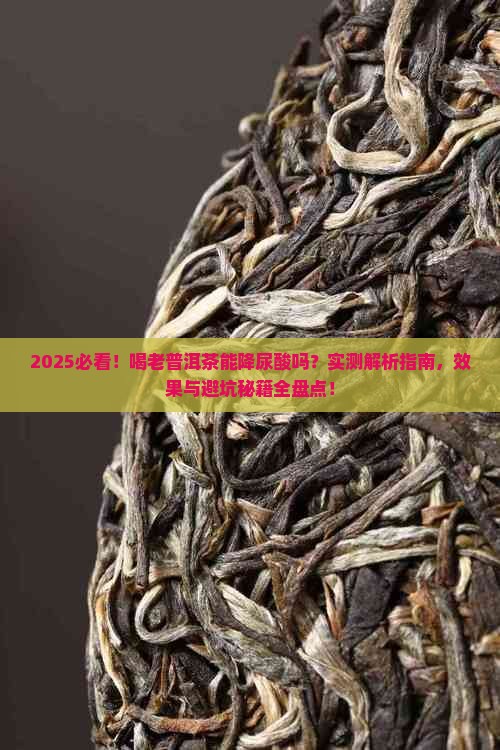 喝老普洱茶降尿酸吗