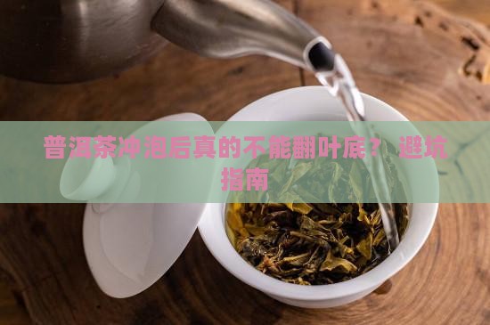 普洱茶冲泡不能翻叶底吗为什么