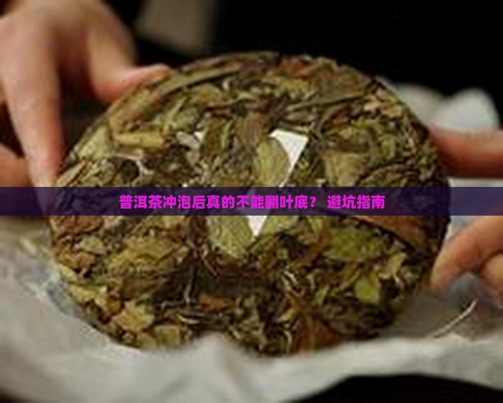 普洱茶冲泡不能翻叶底吗为什么