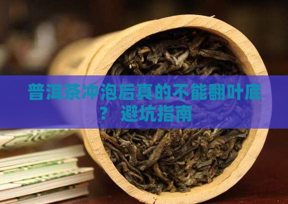 普洱茶冲泡不能翻叶底吗为什么