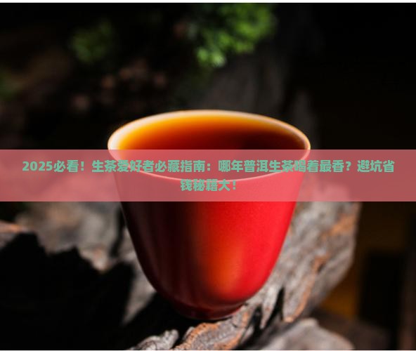普洱茶生茶哪年的好喝一点