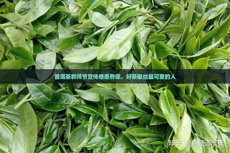 普洱茶教师节宣传