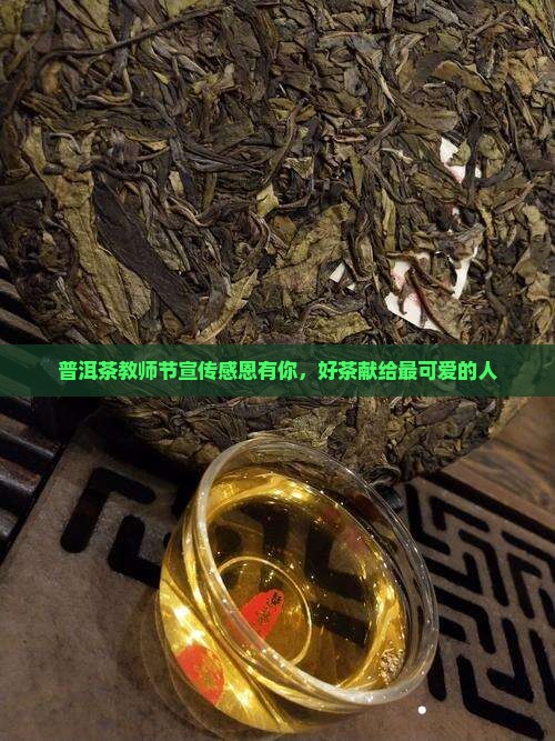 普洱茶教师节宣传