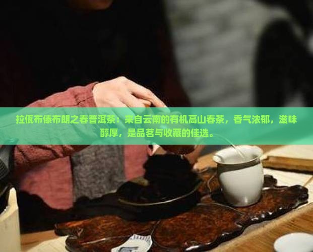 拉佤布傣布朗之春普洱茶
