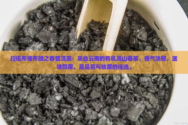 拉佤布傣布朗之春普洱茶