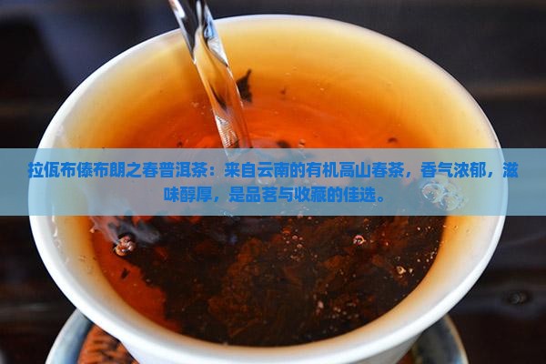 拉佤布傣布朗之春普洱茶
