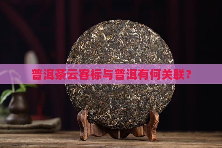 普洱茶云有云客标是什么意思
