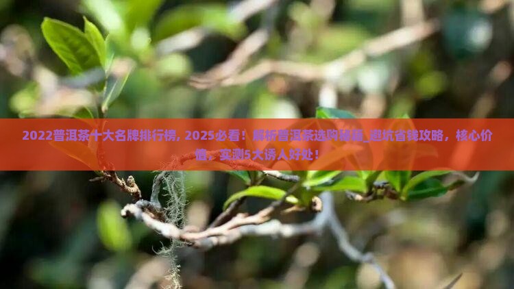 2022普洱茶十大名牌排行榜