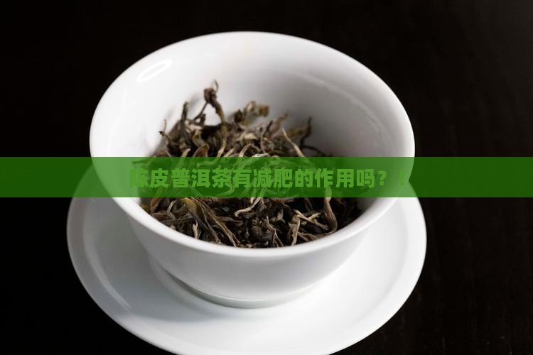 陈皮普洱茶有减肥的作用吗