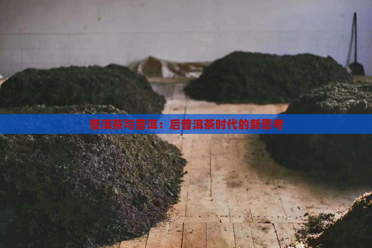 茶怪张论后普洱茶时代