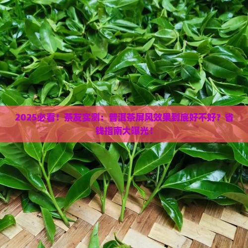 普洱茶屏风效果