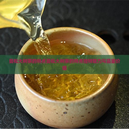 曼松大树茶的特点