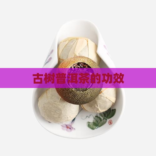 古树普洱茶的功效