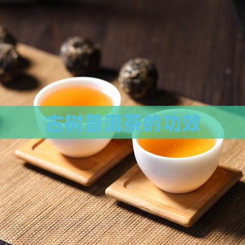 古树普洱茶的功效
