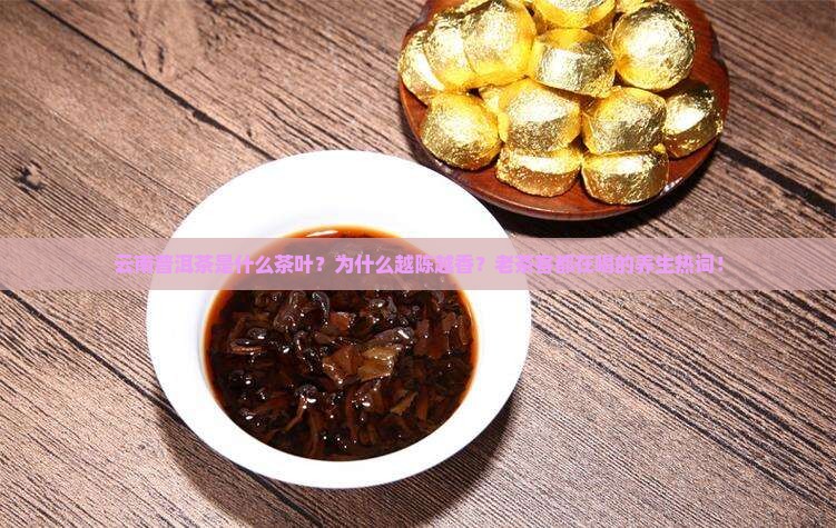 云南普洱茶是什么茶叶