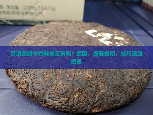 普洱茶蜡木香味重正常吗
