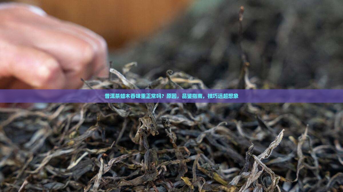 普洱茶蜡木香味重正常吗