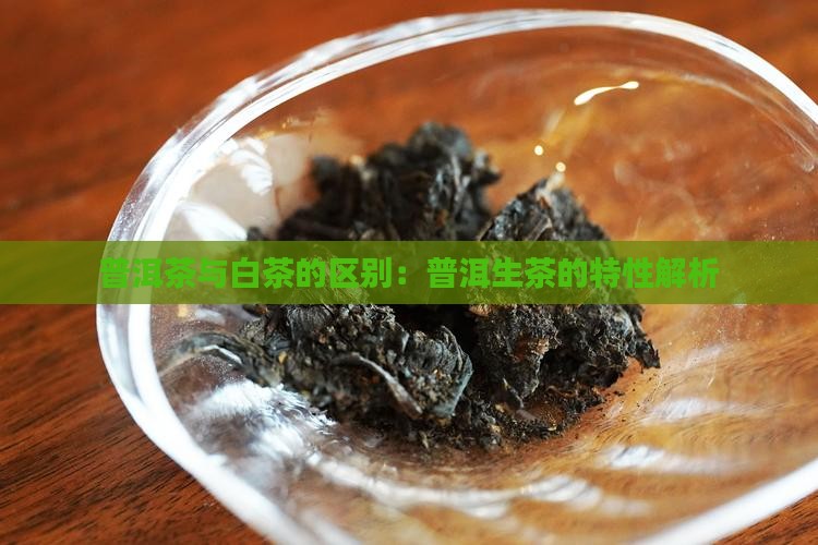 普洱生茶和白茶