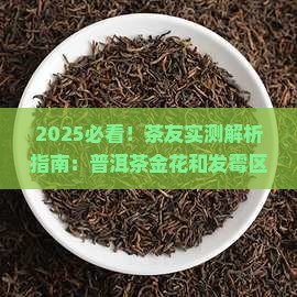 普洱茶金花和发霉区别