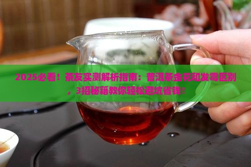 普洱茶金花和发霉区别